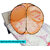 Baby Mosquito Net Polyester Foldable for Baby Orange Color and Black Border