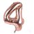 Lalantopparties Number foil balloon 16 inch 4 number party decoration,birthday,Rose Gold Pack of 1