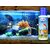 Rid-All Anti Ich Aquarium Fish Medication 120ml