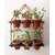 Khush Its Amazing Wood Hanging Planter Shelf Plant Hanger Decorative Flower Pot Rack with Rope Home Decor Hanging Planter (2 Tier Pot Black)