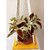 Khush Its Amazing Plant Macrame Hanger Shelf Indoor Hanging Planter Shelf Plant Hanger Shelf Boho Home Decor Cotton Rope (Yellow)