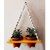 Khush Its Amazing Plant Macrame Hanger Shelf Indoor Hanging Planter Shelf Plant Hanger Shelf Boho Home Decor Cotton Rope (Yellow)