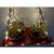 Khush Its Amazing Plant Macrame Hanger Shelf Indoor Hanging Planter Shelf Plant Hanger Shelf Boho Home Decor Cotton Rope with LED Light (Maroon)