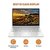 HP Pavilion 1411th Gen Intel Core i5 16GB RAM/512GB SSD 14 inch(35.6 cm)FHD IPS Anti-Glare Display/Intel Iris Xe Graphics/Backlit KB/B,O Audio/FPR/Win 11/Thin , Light/1.41kg 14-dv1001TU
