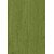 Styletex Polyester Long Door Curtain Green (Single Piece)  Pack of 1