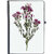 UDNAG Ruled Notebook Diary 'Flowers', [A5 80Pages 80GSM]