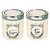 Trueware St Lift Up Canister Set Of 2 Sugartea With Transparent Lid-Green 750 Ml Each Jar