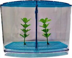 Taiyo Double Betta House with Divider System Aquarium Tank