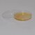 FAIRBIZPS Transparent Petri Dish Polystyrene Diameter 90mm Height 15mm (Pack of 10)