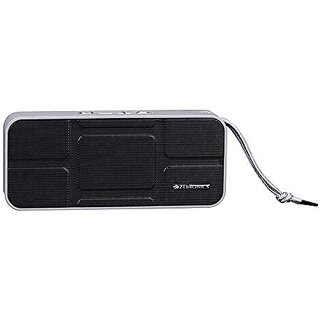 Zebronics Portable Bluetooth Speaker with USB Support Micro SD Card AUX FM Call Function and Volume Control - Brew.
