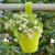 PLASTIC HANGING PLANTER POT, MULTICOLOUR PACK OF 2