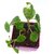 Betel Leaf Magai Paan Plant with Purple Pot by Veryhom