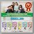 PaxClean Economical Floor  All Surface Cleaner Disinfectant with 99.9 Germ Kill (Refreshing Pine), 5L
