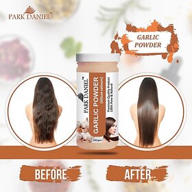 PARK DANIEL Premium Garlic Powder (100 gms) (100 g)