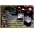 PARK DANIEL Onion Oil & Rose Shampoo Combo Pack Of 2 bottle of 100 ml(200 ml) (200 ml)