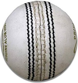 White Cricket Lether Bolls