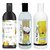 The Body Care Beer Shampoo, Coconut Shampoo and Egg Shampoo, 400ml Each, Combo