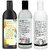 The Body Care Beer Shampoo, Coconut Shampoo and Egg Shampoo, 400ml Each, Combo