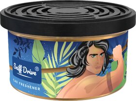 Sniff Drive Wild Musk Air Freshener, car perfume to freshen up your car