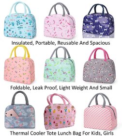 Portable Insulated Lunch Bag for Working Women, School Student Kids, Thermal Cooler Tote Bag Picnic Organizer Storage Lu