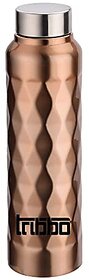 TRIBBO Stainless Steel Water Bottle 1 litre Water Bottles For Fridge School,Gym,Home,office,Boys   Girls Kids Leak Proof(GOLDSIPPER CAP SET OF 1 1000 ML Model-diamond)