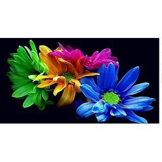 M/S Revaxo Rectangular Pack Of 6 Table Placemat (Multicolor, Pvc)