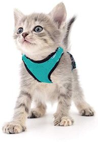 Kitten-Cat Puppy SizeSmall - Cat Nylon Harness with Lease Adjustable - Export Quality- Please Check Size Before Buying