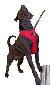 Dog Body Vest Harness with nylon heavy ropeSize  Large Good for Labrador Heavy Durable for Long time