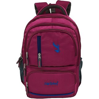 Life Today Medium 26 L Laptop Backpack 26 Litres Maroon 15.6 Inch Water Resistance Polyester Laptop Backpack 26 L Laptop Backpack (Maroon) (Maroon)