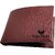 EAGLEBUZZ Men Brown Genuine Leather Wallet - Mini (9 Card Slots)