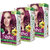 Nisha Cream Hair Color Rich Bright Long Lasting Hair Colouring For Ultra Soft Deep Shine 100% Grey Coverage Wine Burgundy (Pack of 3) , Wine Burgundy