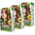 Nisha Cream Hair Color Rich Bright Long Lasting Hair Colouring For Ultra Soft Deep Shine 100% Grey Coverage Dark Blonde (Pack of 3) , Dark Blonde