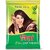 Neeta Henna Hair Color 125gm Comes With Natural Mehendi Powder (Natural Brown) (500 g)