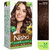 Nisha cream permanent hair color superior quality no ammonia cream formula permanent Fashion Highlights and rich bright long-lasting colour Chocolate Brown (pack of 1) , CHOCOLATE BROWN 3.5