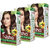 Nisha cream permanent hair color superior quality no ammonia cream formula permanent Fashion Highlights and rich bright long-lasting colour Dark Brown (pack of 3) , DARK BROWN 3