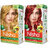 Nisha Pack Golden Blonde & Flame Red (60gm + 90ml + 18ml Conditioner) , 8.1 Golden Blonde + Flame Red