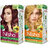 Nisha Pack 3. Honey Blonde (60gm + 90ml + 18ml Conditioner) , 3.16 Burgundy + 7.3 Honey Blonde