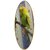 Bird Harness - Good for Budgie (Budgerigars) for free flying