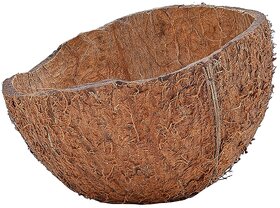 Coconut Shell half (Pack of 75 pieces)