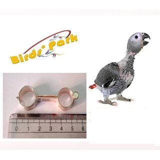 Grey Parrot Split or Splayed Leg Bird Treatment Bracelet in Silver (CHANDI) Size  14mm Birds' Park