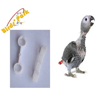 Splayed leg bird treatment bracelet for Baby Grey Parrot-2pcs Birds Park