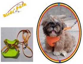 Puppy Dog Harness with nylon lease small size Birds' Park