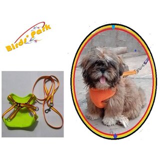 Puppy Dog Harness with nylon lease small size Birds' Park