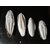 Bird Food Natural Cuttle Fish Bone (A Good Substitute Calcium for All Seed-Eater Birds, Reptiles and Tortoises.4 pcs onl