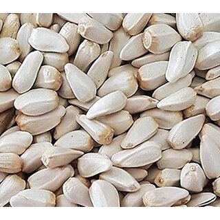 Birds Food Safflower seeds (kusum dana) Fresh  Natural Good for Sun conure, Eclectus, Grey Parrot  Macaw Birds' Park