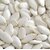 Birds Food - Pumkin seed white Fresh  Natural-Good for Macaw Grey Parrot Cockatoo Cocktails LoveBirds BIRDS' PRK