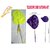 Telescopic Bird Catching Net Imported-Good for catching Canary Budgerigars Lovebird Conure Dove Birds' Park