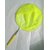 Telescopic Bird Catching Net Imported-Good for catching Canary Budgerigars Lovebird Conure Dove Birds' Park