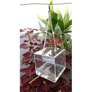 Bird Bath Room Acrylic Size 4x4x4 inch - Good for Canary Finch  Lovebirds Birds' Park