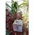 Bird Bath Room Acrylic Size 4x4x4 inch - Good for Canary Finch  Lovebirds Birds' Park